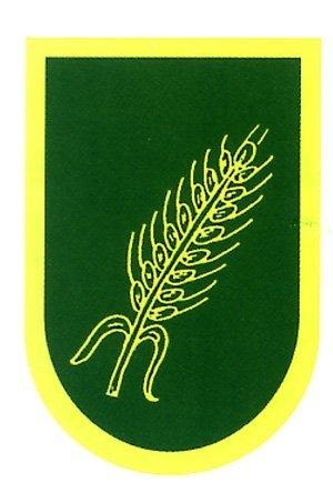 Colegio-Público-Ermitagana